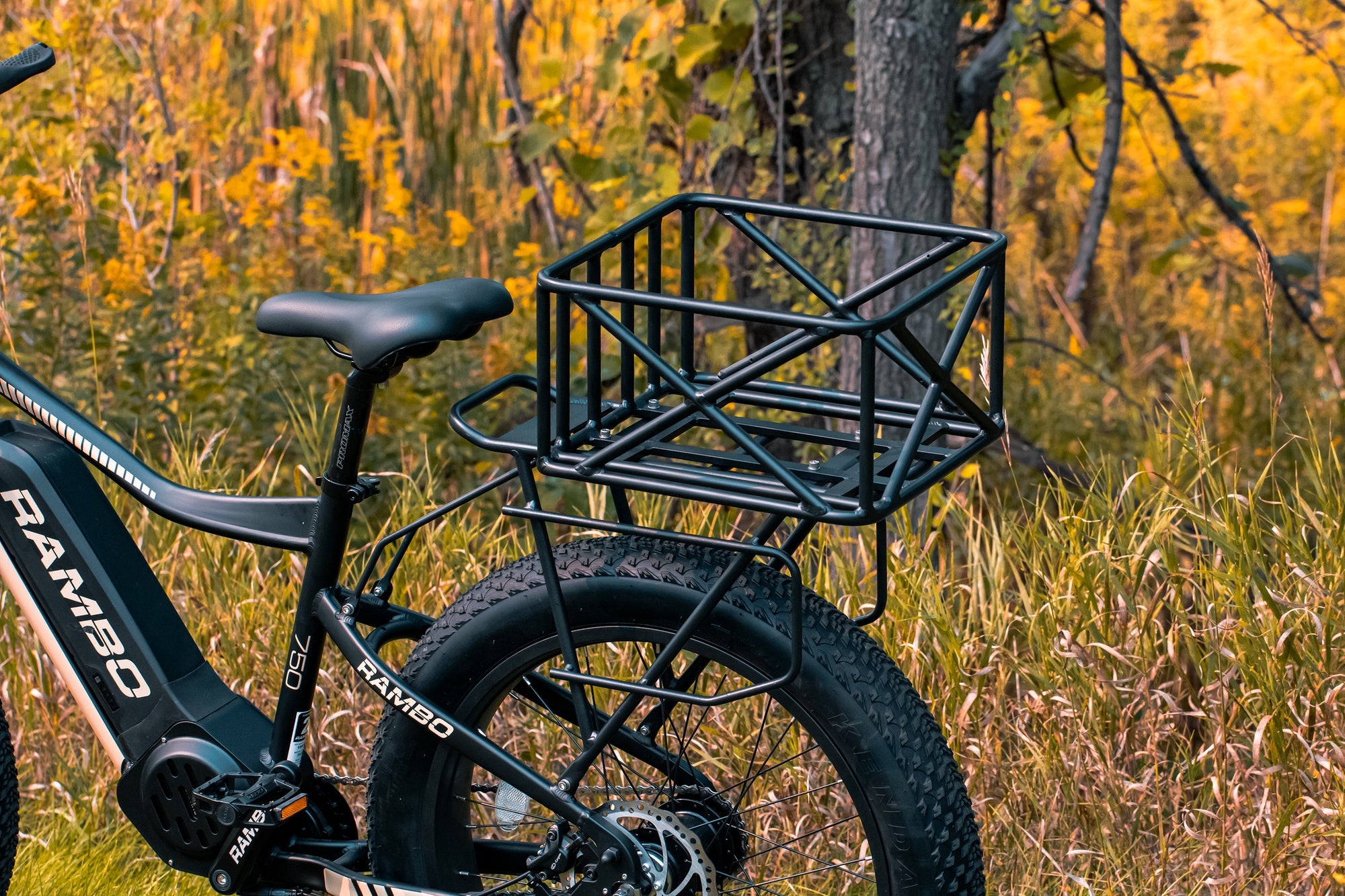 Small bike basket online